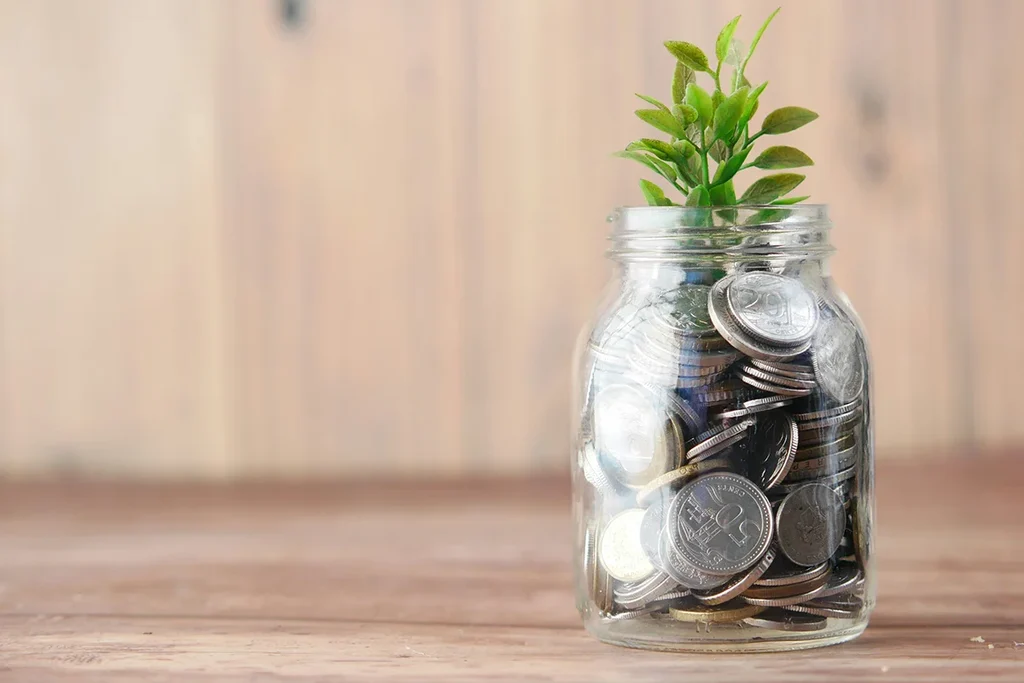 a plant is growing from the money in a jar