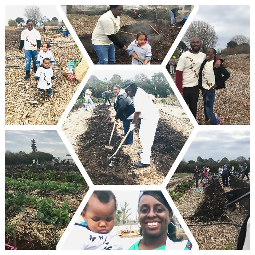 Rubicon Participants honor Dr. King by developing a community garden in North Richmond