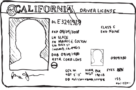 California drivers license illustration